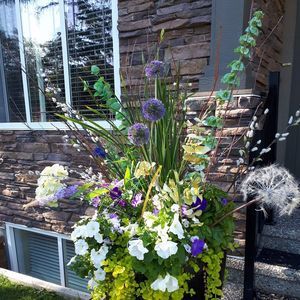 Meet your Posher, Lindsay